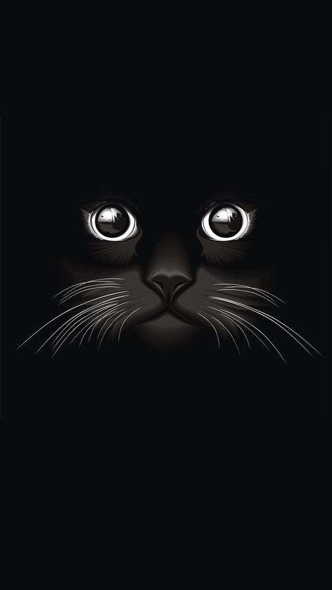 Cute cartoon cat preview