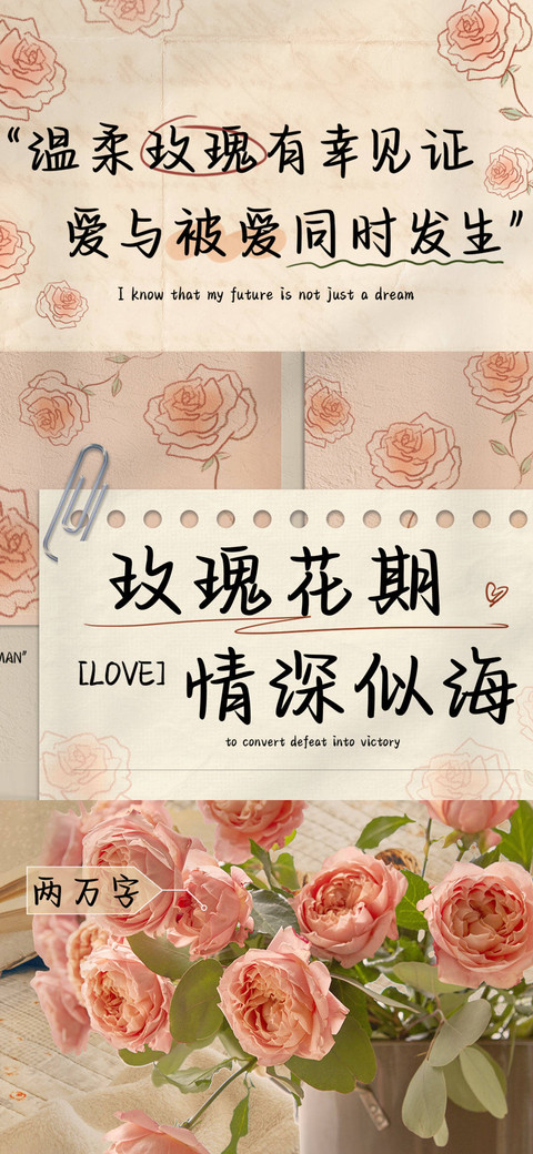 玫瑰花期情深似海 preview