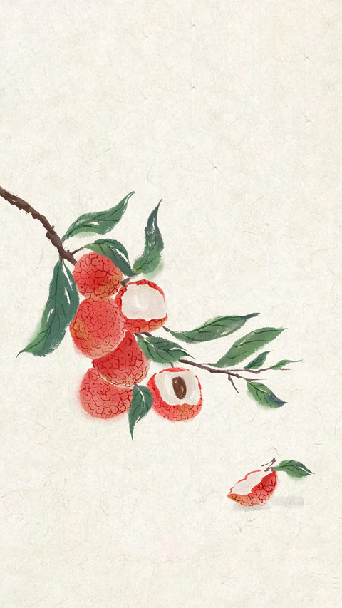 Where does feixiao litchi come from preview