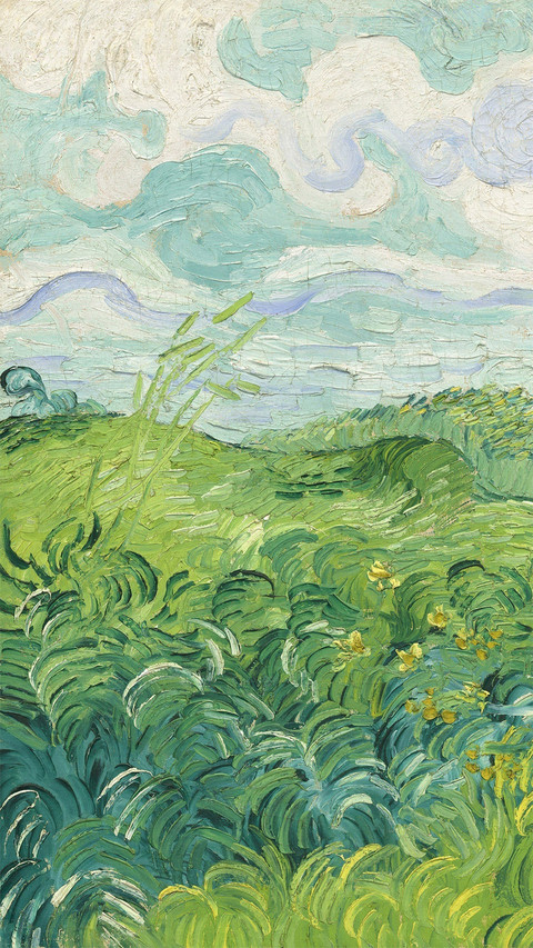 Green Wheat Fields, Auvers, by Vincent Van Gogh preview