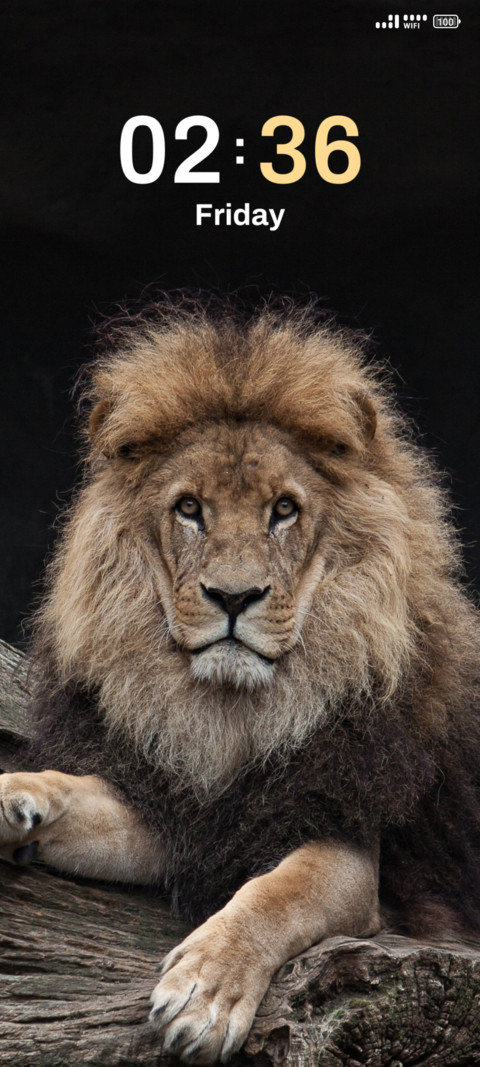 Lion preview