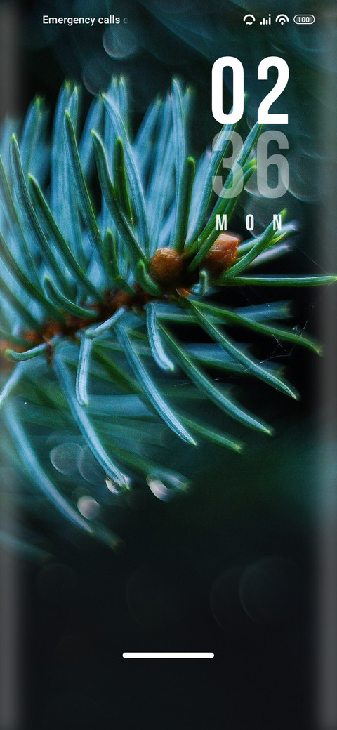 Pine preview