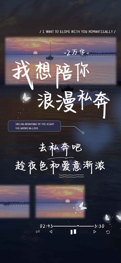 我想陪你浪漫私奔 preview