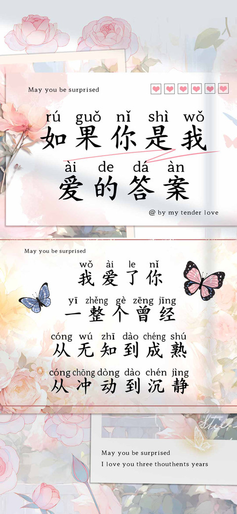 如果你是我爱的答案 preview