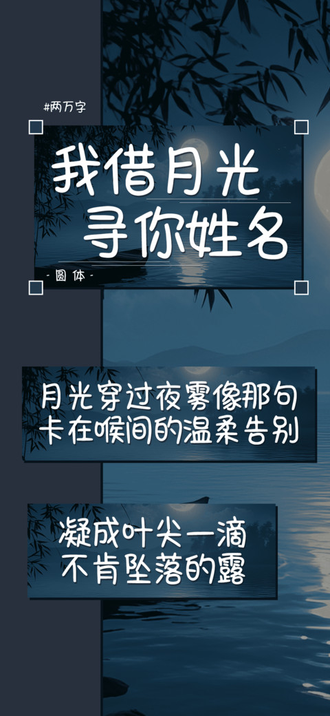 我借月光寻你姓名 preview