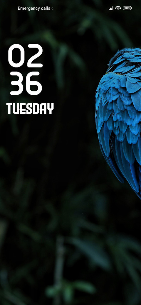 Parrot preview
