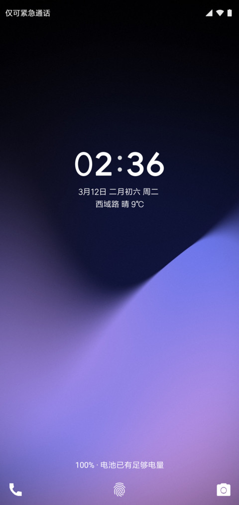 Pixel 9 preview