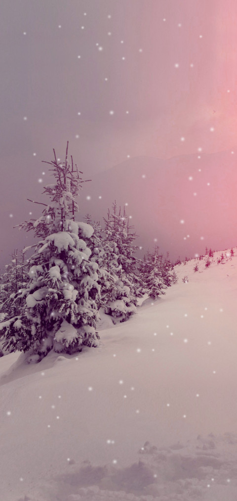 初雪Plus preview