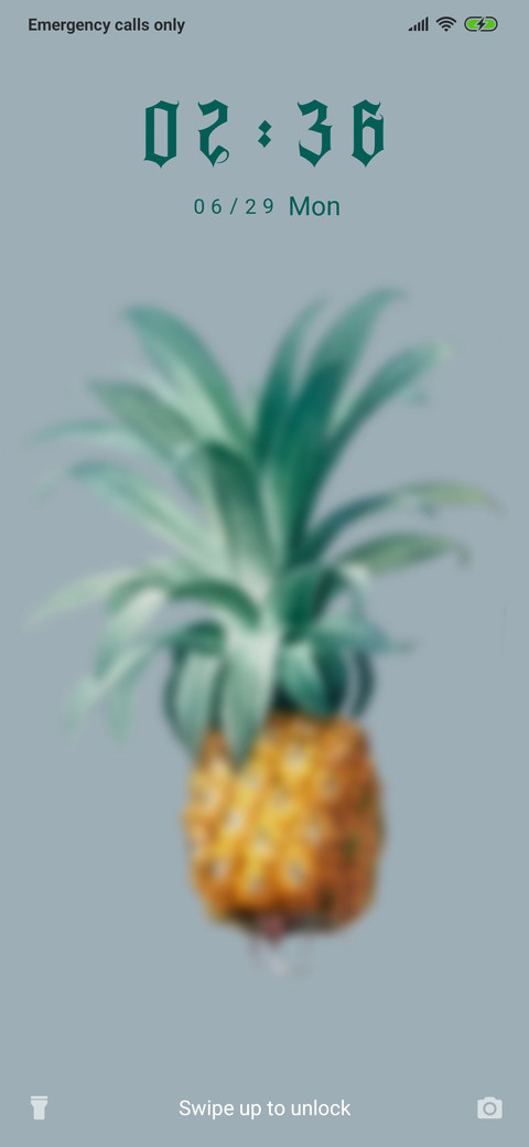 Pineapple - Light_3MDS preview
