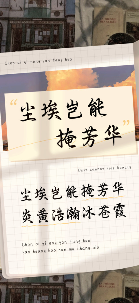 尘埃岂能掩芳华 preview