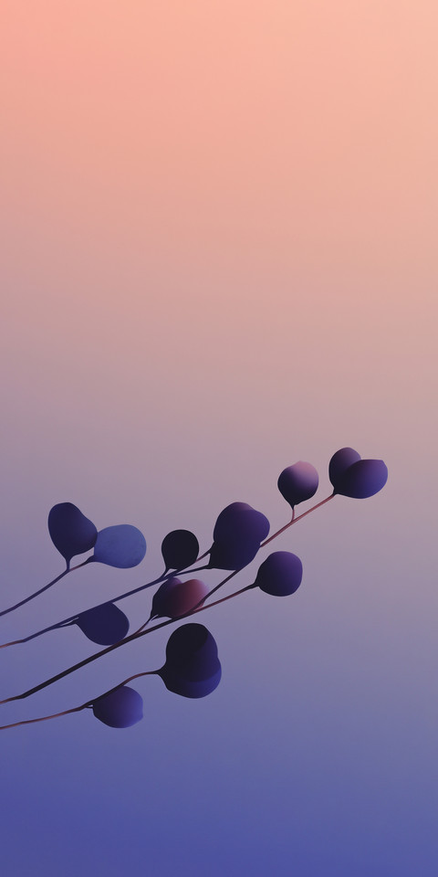 Silhouette4.jpg preview