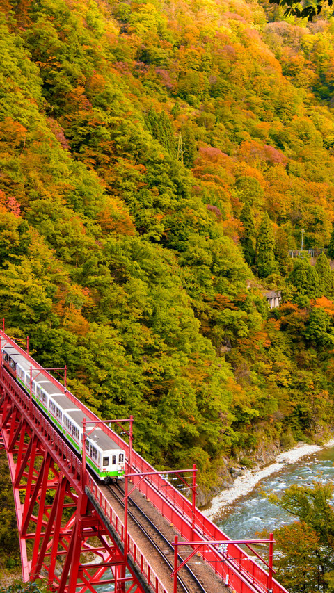 Black River Canyon Autumn Scenic Railway Ride preview