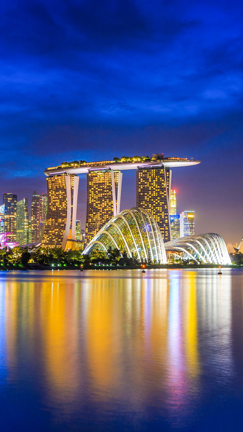 Singapore city skyline at night preview