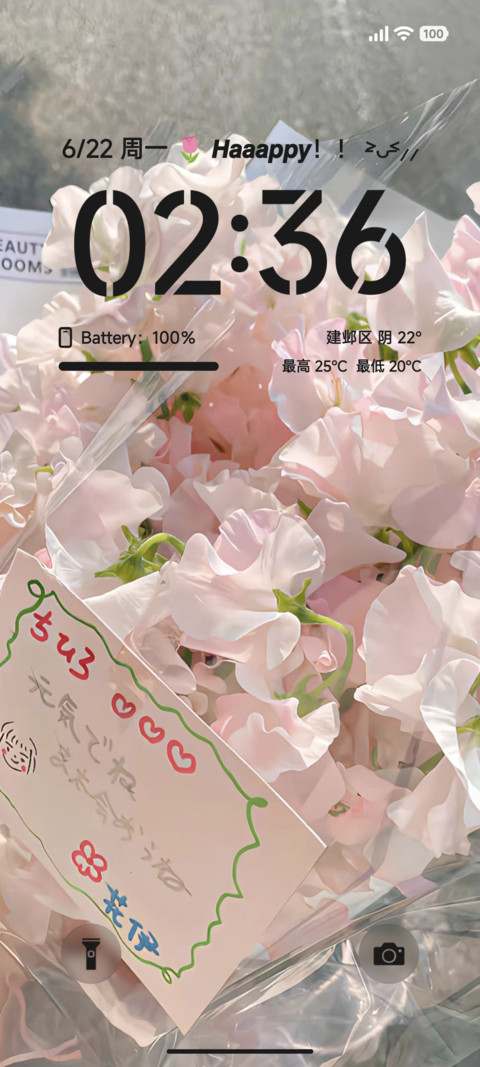 ins简约花语 preview