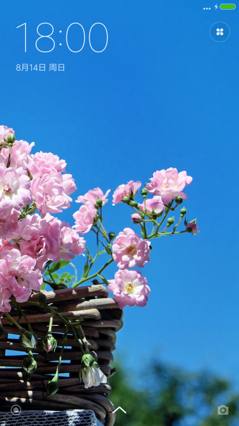 【V7+V8双版本】Roses preview