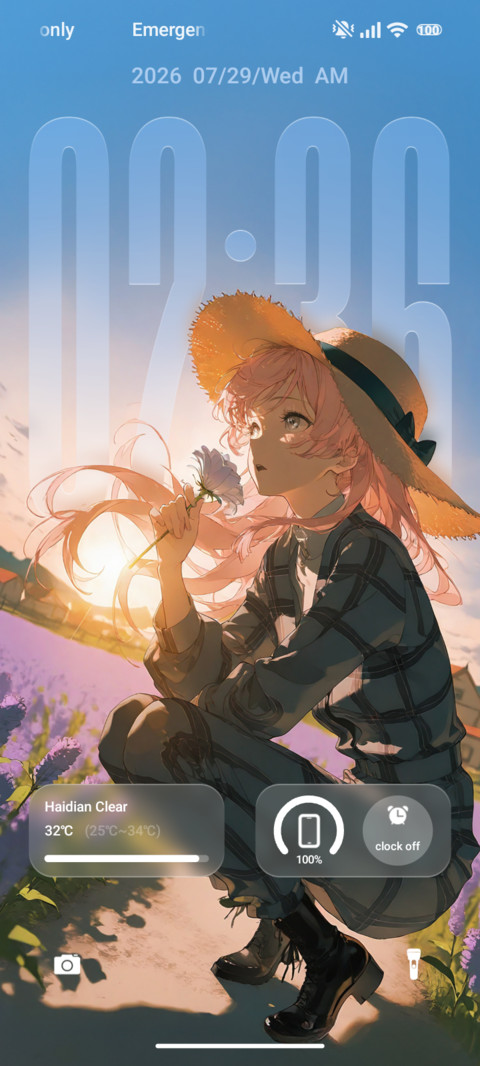 Sunny preview