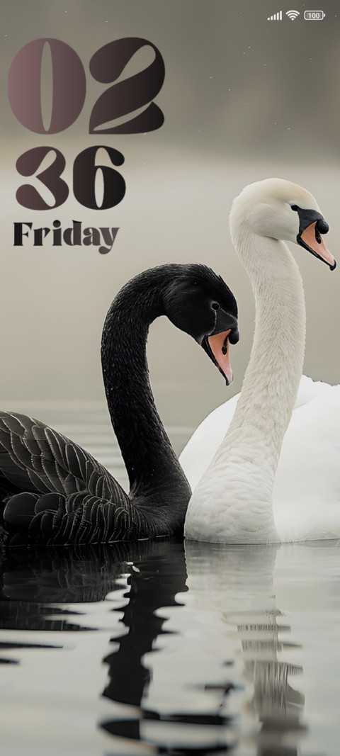 Swan preview