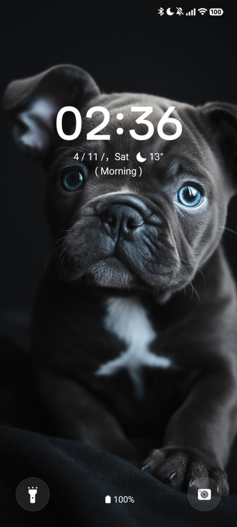 Black Dog preview