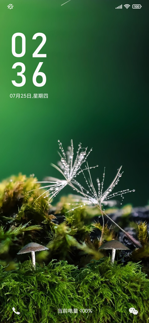林中小蘑菇 护眼 preview