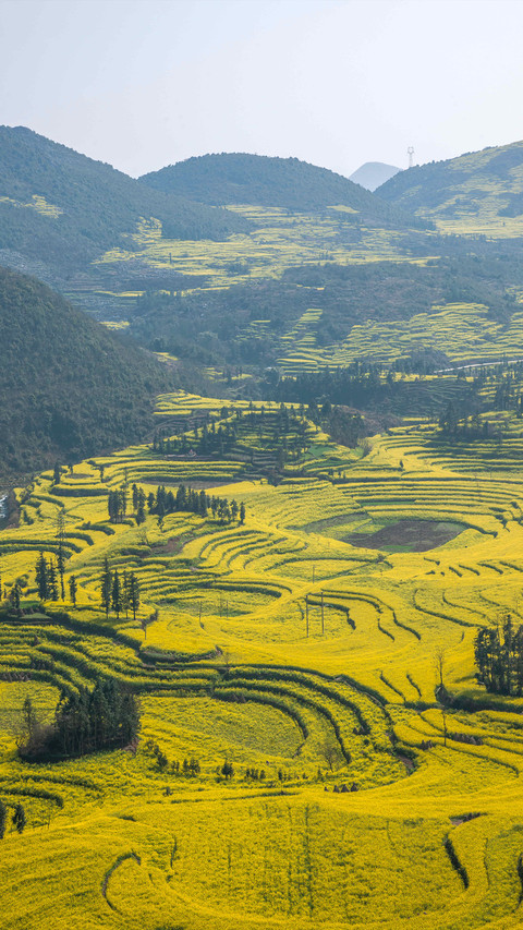 Terraces in Yunnan miui theme