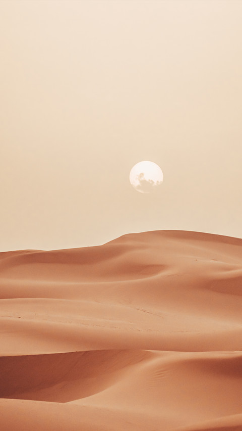 Pure desert preview