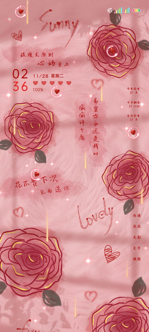 复古浪漫玫瑰花期 preview