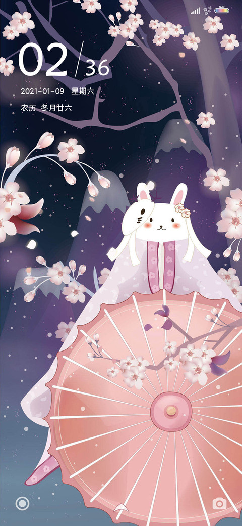 樱花之夜 兔子 preview