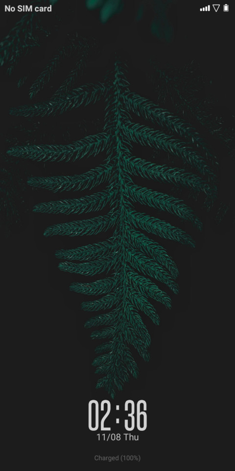 GodonkPaku V10 preview