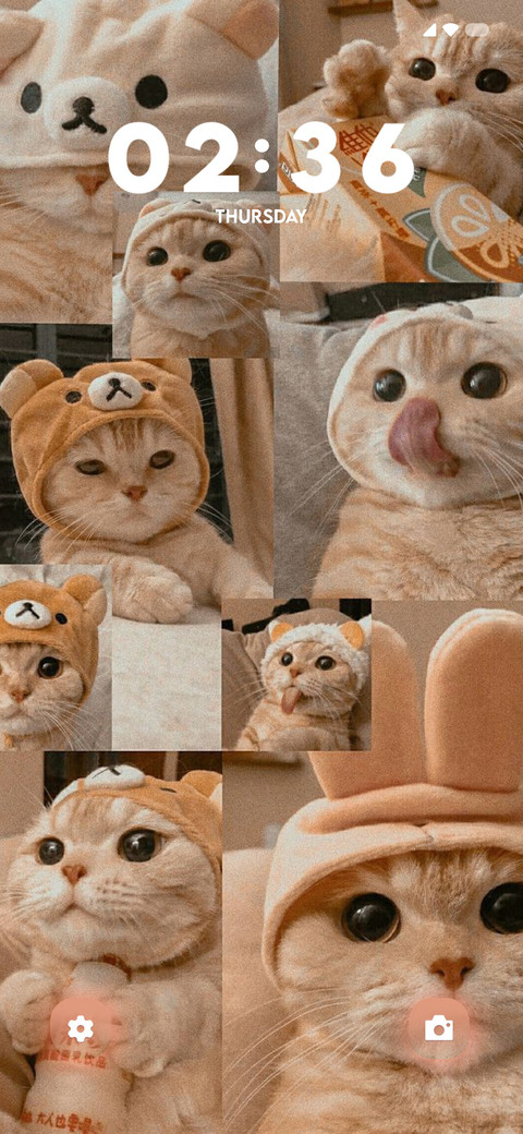 Cat feel preview