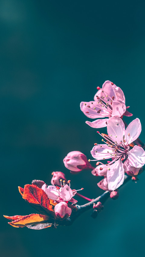The sedimentation of life is another kind of beauty preview