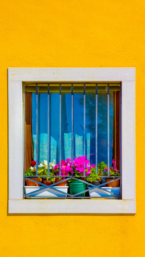 The flowers on the windowsill preview