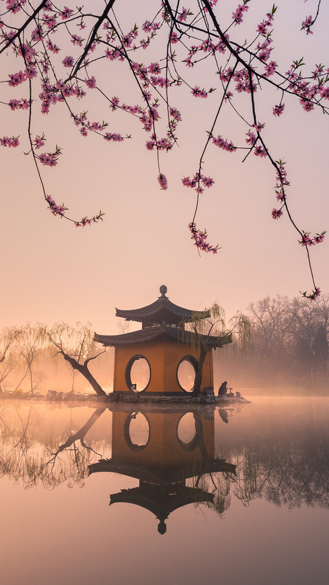 Unique and beautiful scenery thin West Lake 4 preview