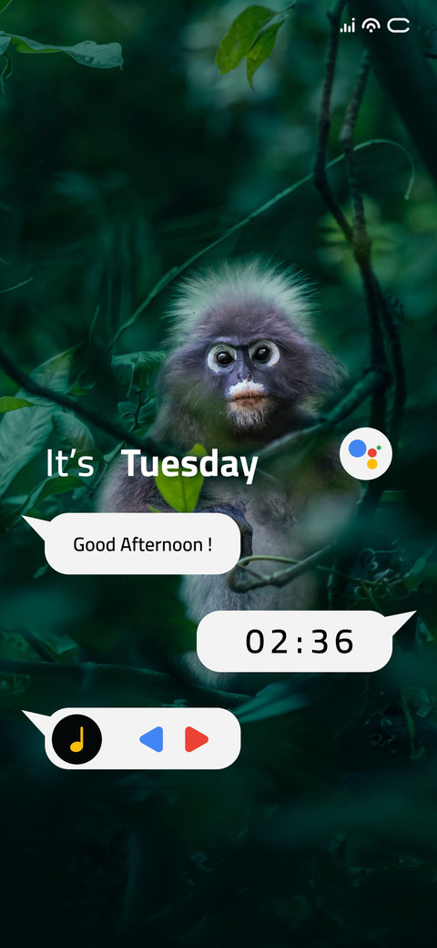 Nosy Monkey preview