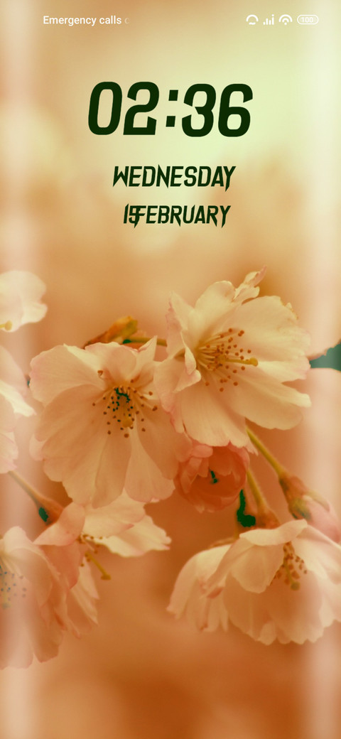 Sakura Flower preview