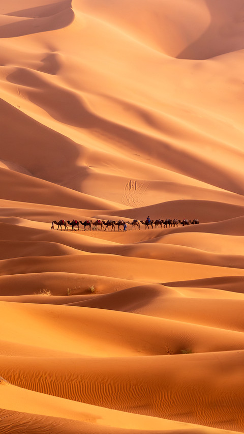 Sand Dune At Sahara Desert In Merzouga, Morocco preview