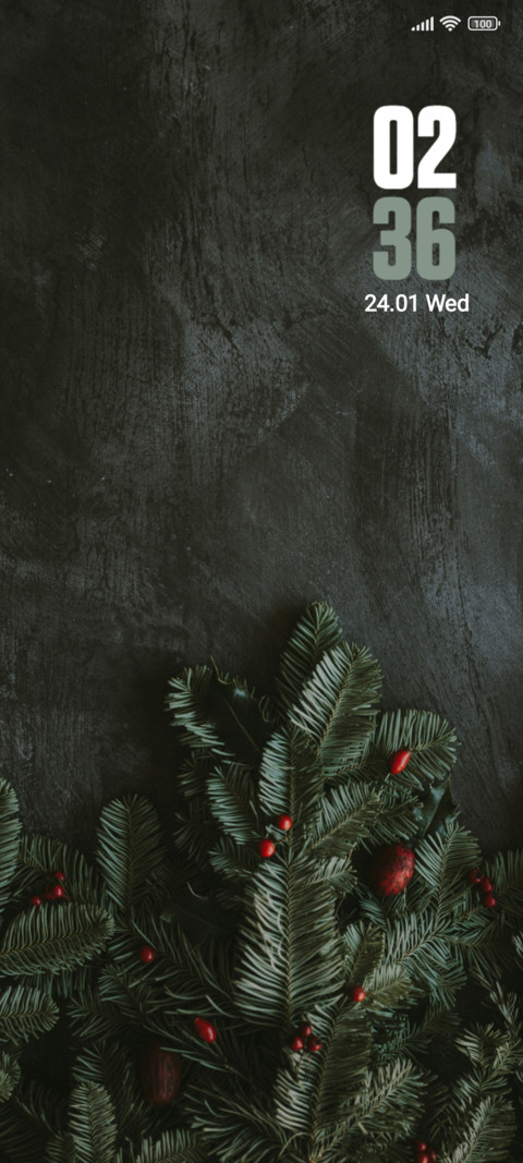Christmas preview