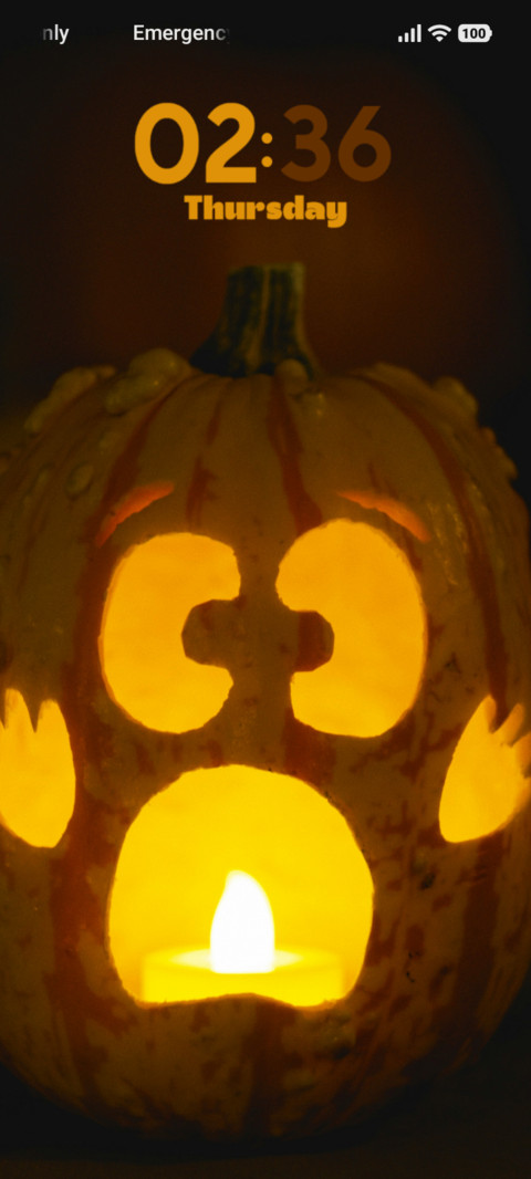 Pumpkin Candle preview