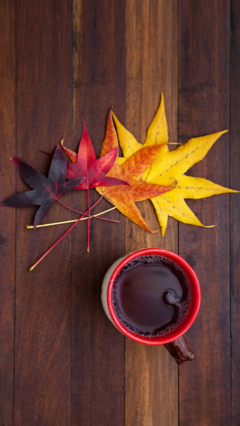 International-autumn preview