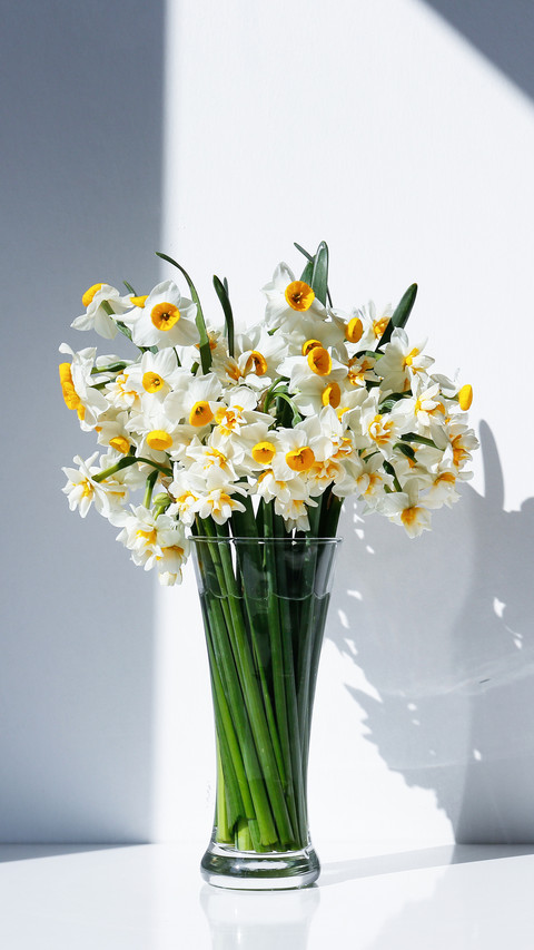 A bouquet of white daffodils in glass vase on the table preview