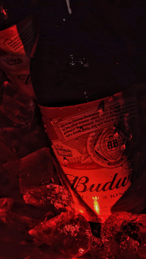 Beer Lovers Day (1) preview