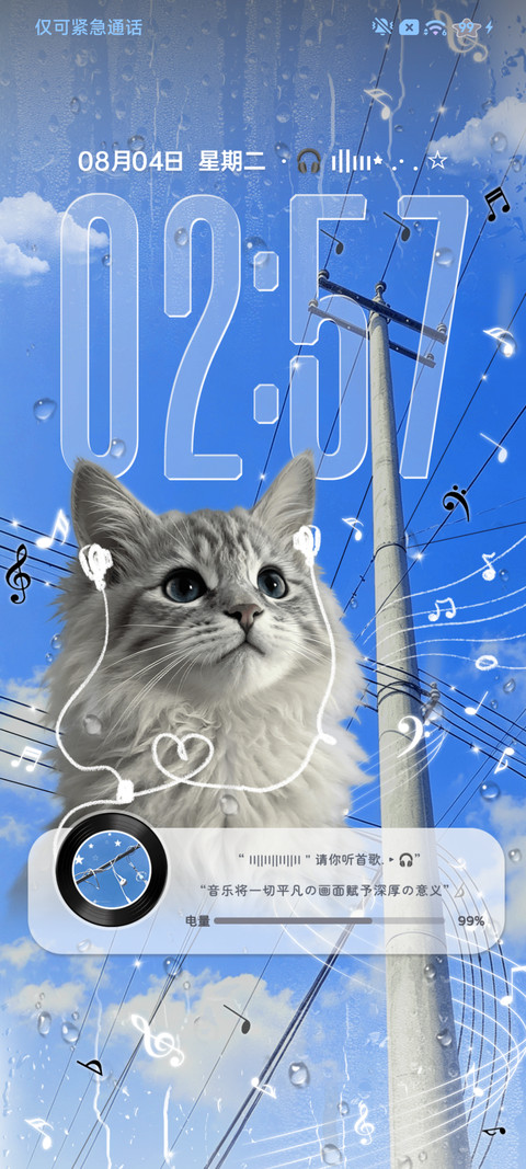 ins小猫的旋律 preview