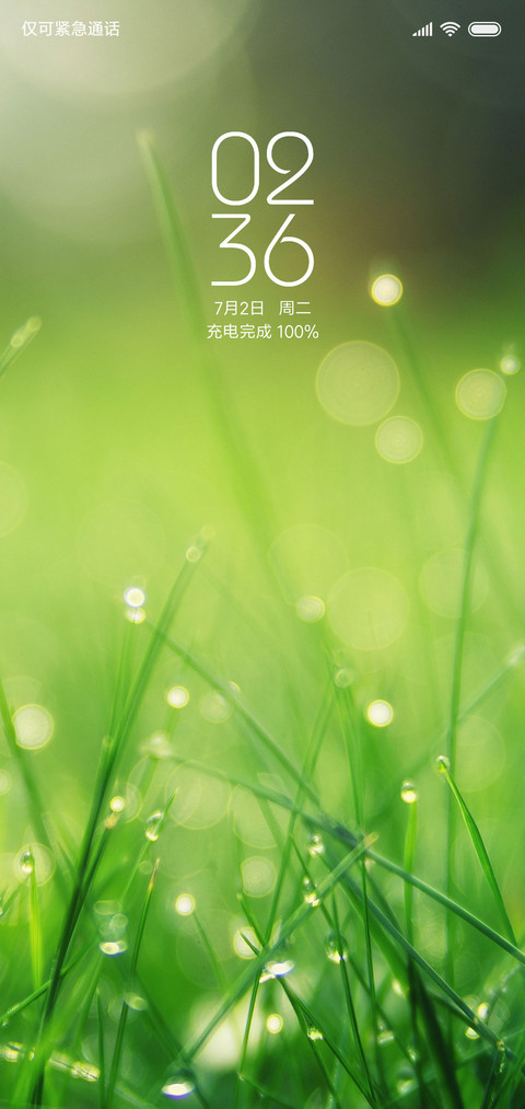护眼绿草 preview
