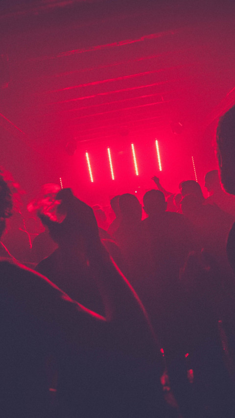 Party (7) preview