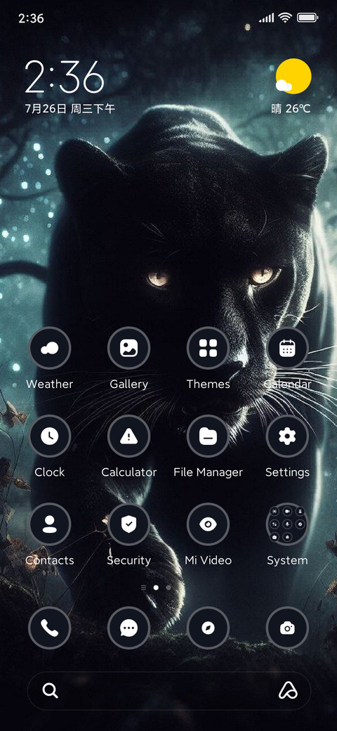 Black Panther preview