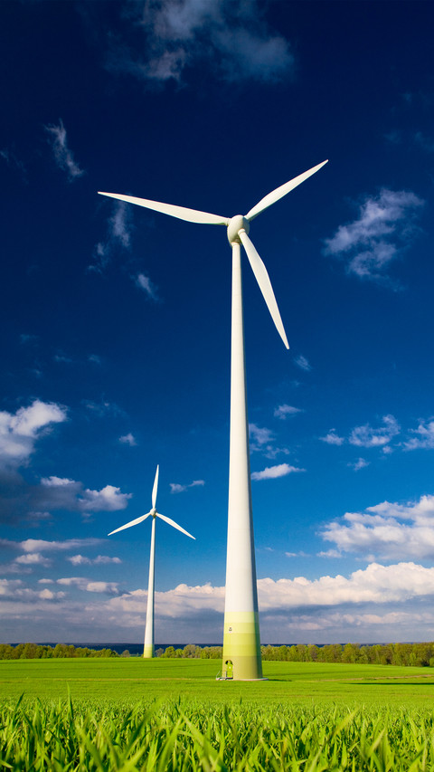 Windmill preview