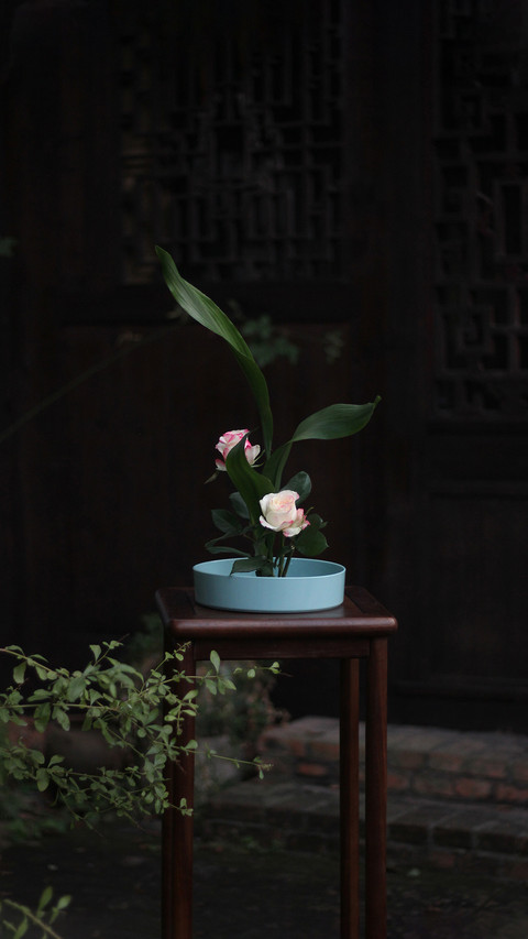 家居插花保鲜小技巧 preview