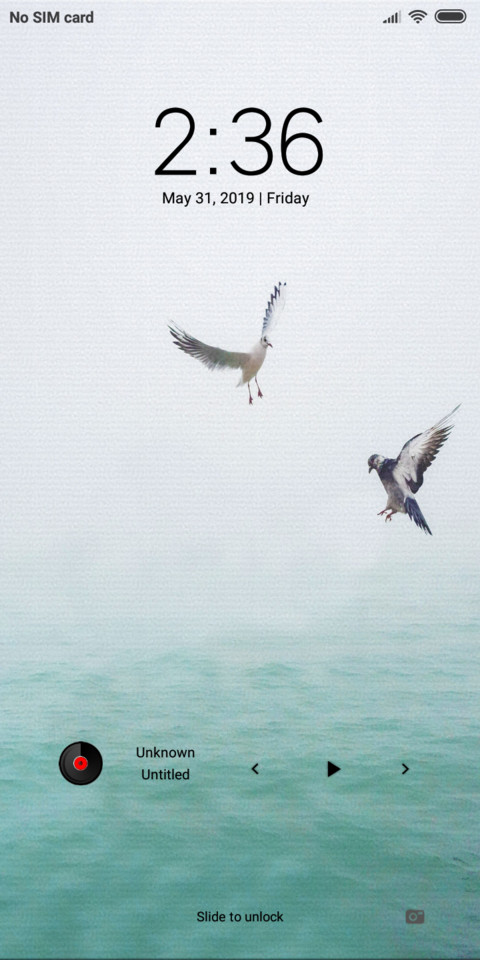 SeaGulls_DWM19 preview
