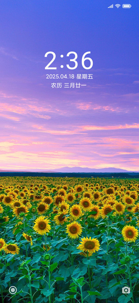 唯美清新向日葵 preview