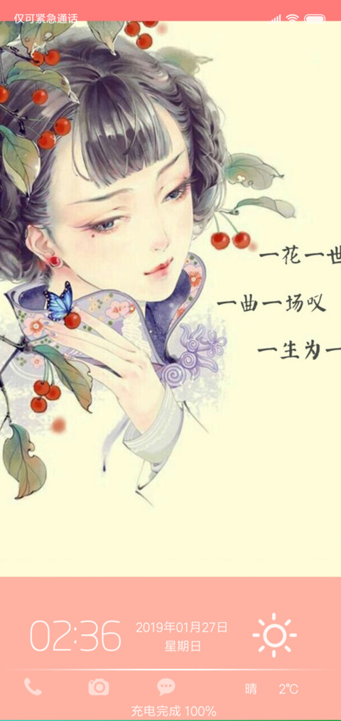 花花娘子 preview