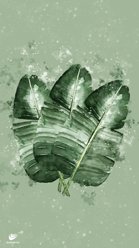 辰宇文创-植物叶子 preview